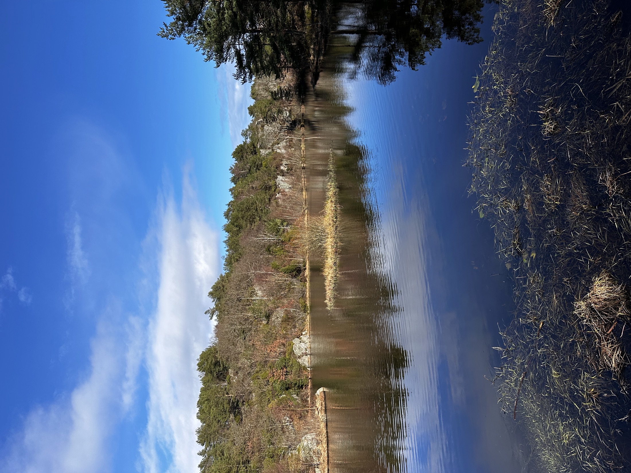 Forest lake on Flekkerøy