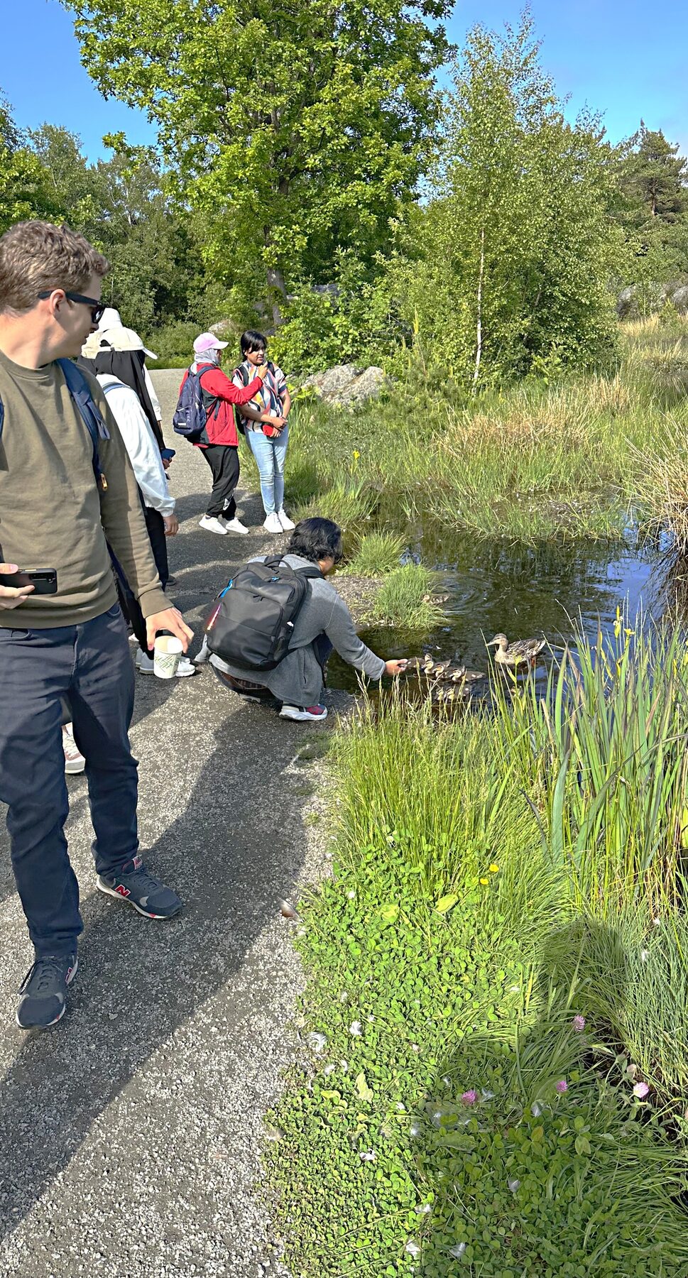 Guests feeding ducks on the walk